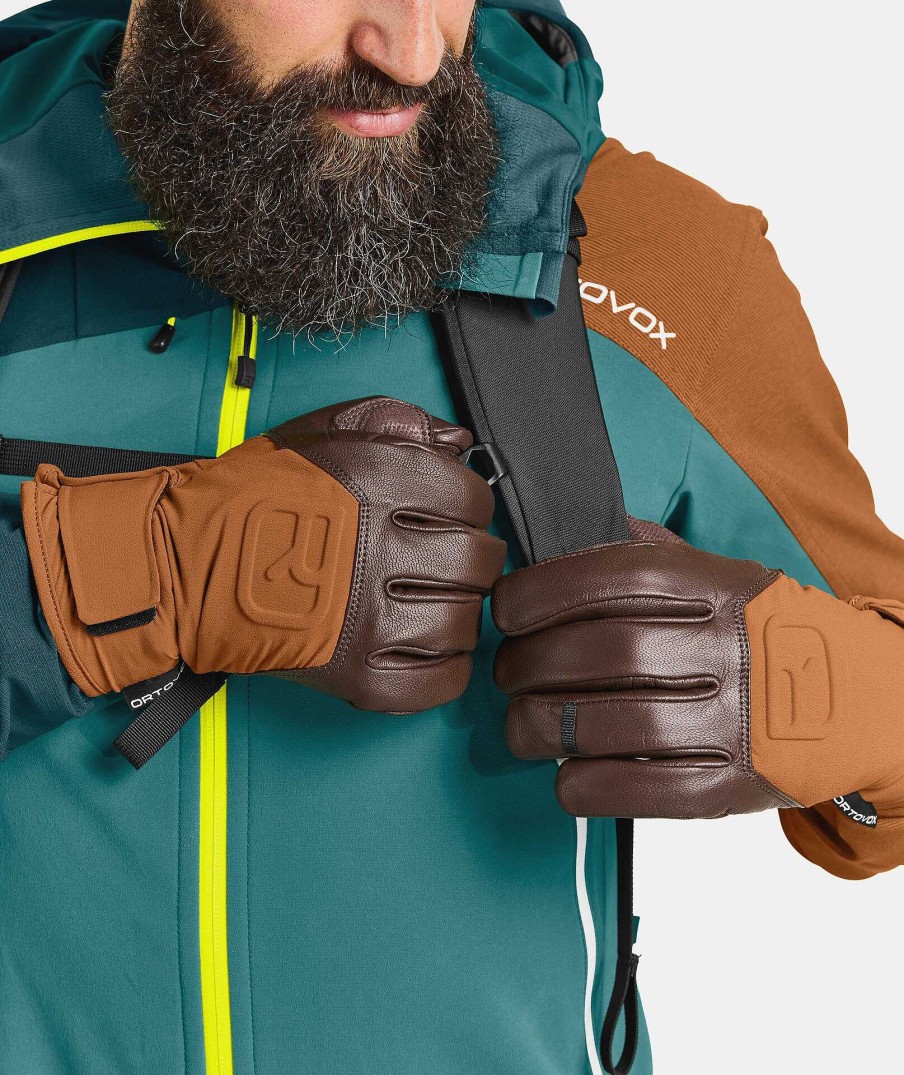 Ortovox Alpine Pro Glove | Gloves